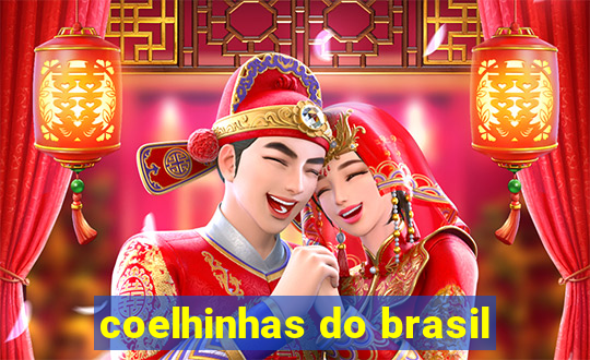 coelhinhas do brasil